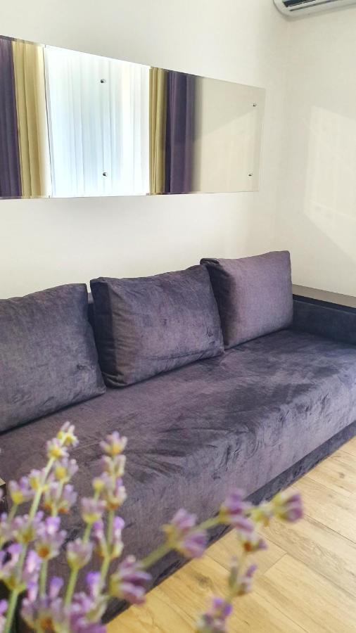 Demar Apart Violet Lwów Zewnętrze zdjęcie